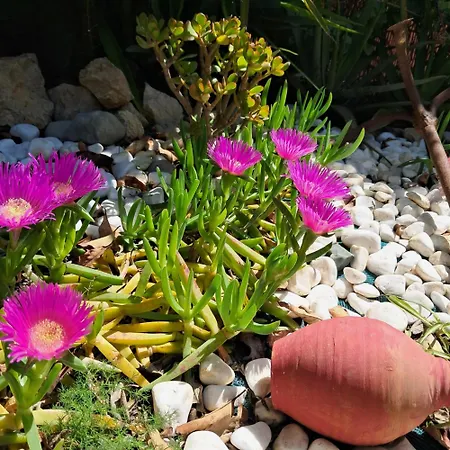 Ferienhaus Daniel Corfu (city)