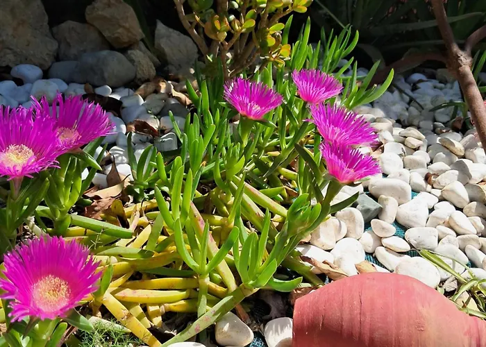 Σπίτι διακοπών Daniel Corfu (city)